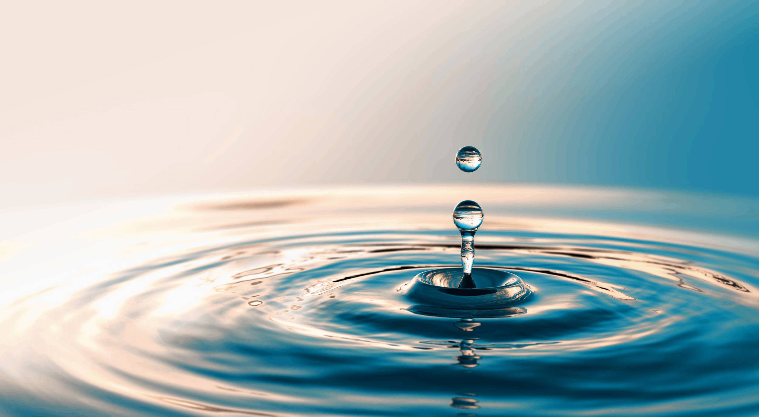 Commercial water sample testing PFAS water testing companies Canada